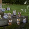 Aurinkokennovalo Owls