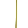 Gerbera