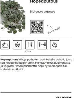Hopeaputous/Hopeakäpälä