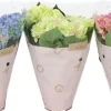 Hortensia