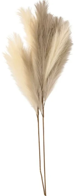 Höyhenheinä