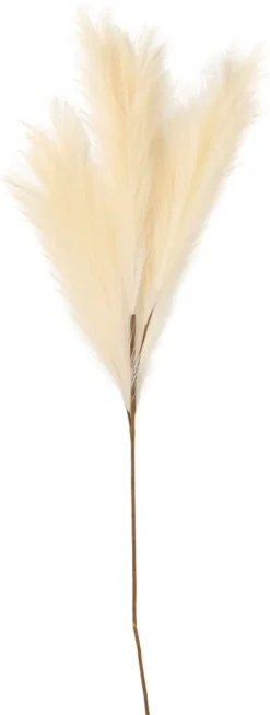 Höyhenheinä