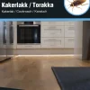 Hyönteispyydys Silverline