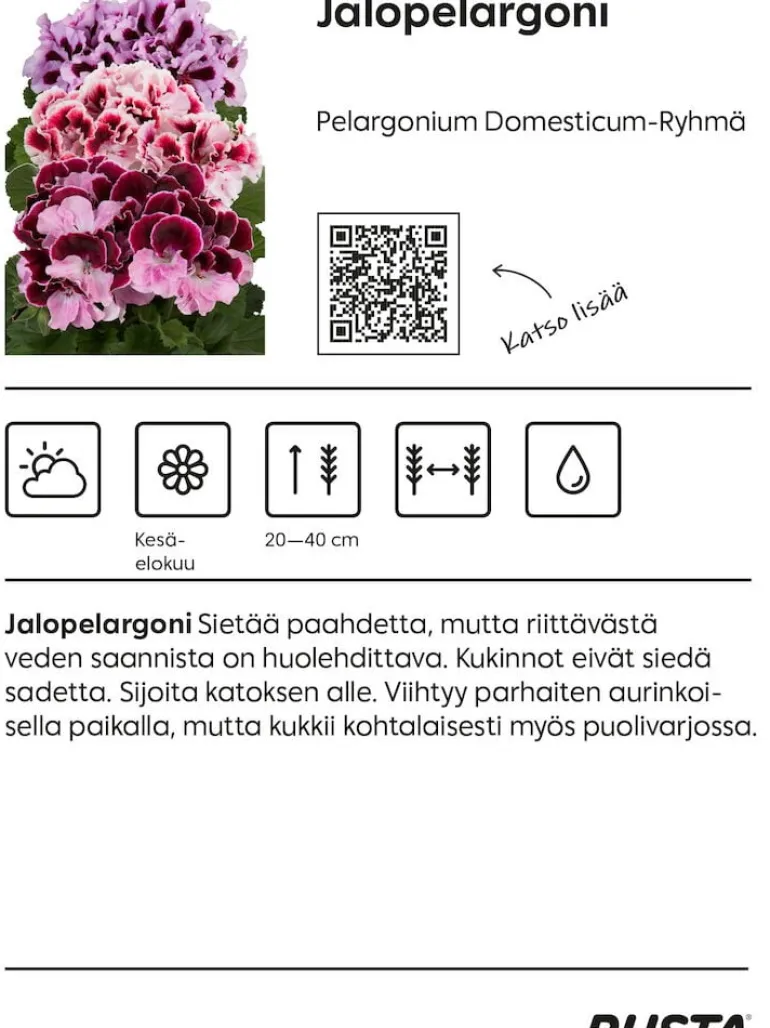 Jalopelargoni