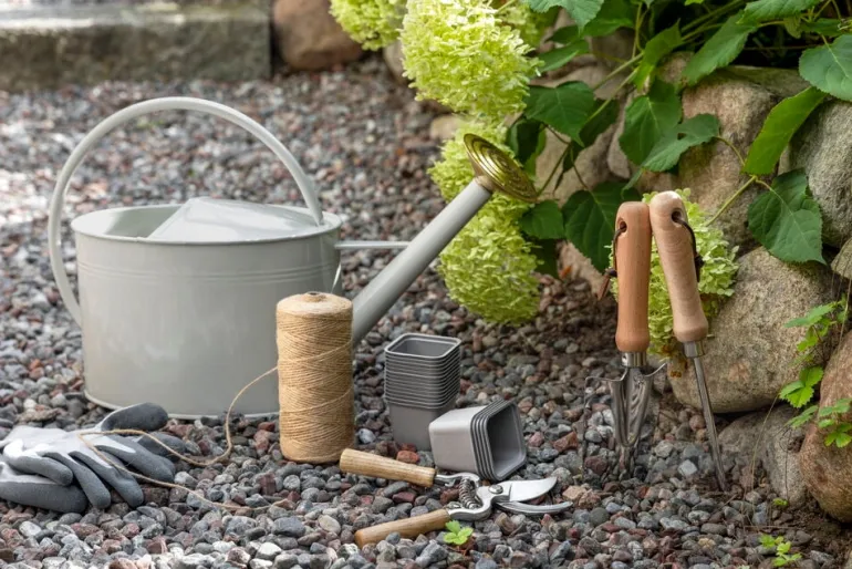 Juuttinaru
