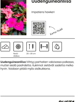 Kesäkukka