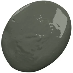 Kiiltomaali Professional finish