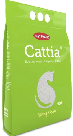 Kissanhiekka Cattia
