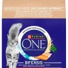 Kissojen kuivaruoka Purina ONE
