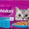 Kissojen märkäruoka Whiskas