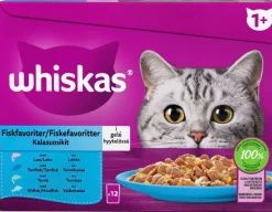 Kissojen märkäruoka Whiskas
