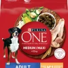 Koiran kuivaruoka Purina ONE