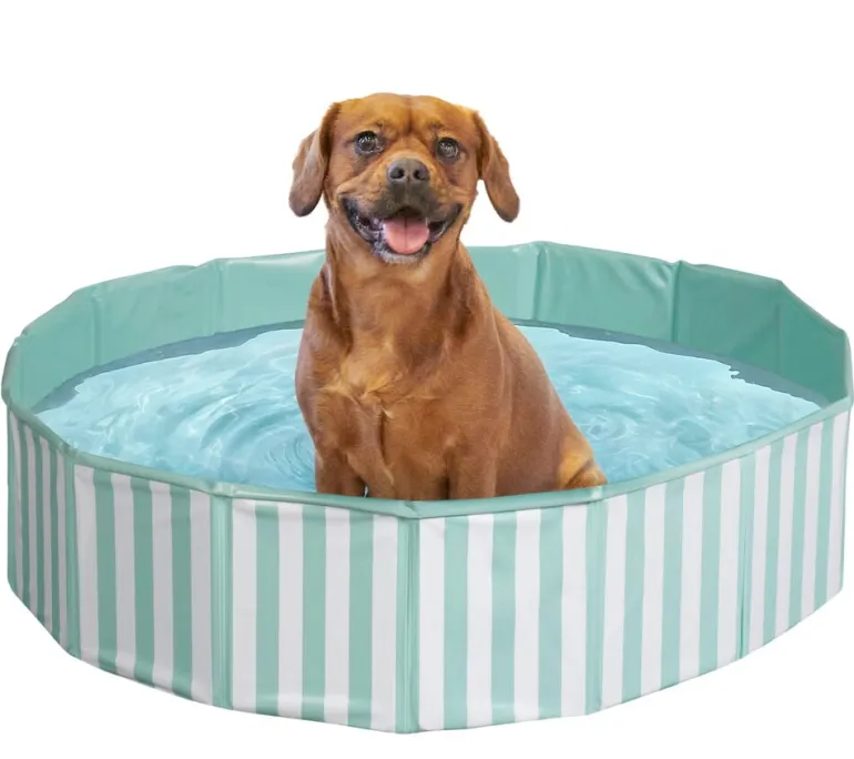Koiran uima-allas Pet Club