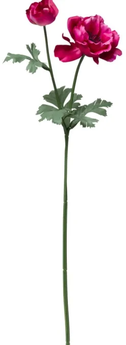 Kruunuvuokko
