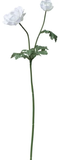 Kruunuvuokko