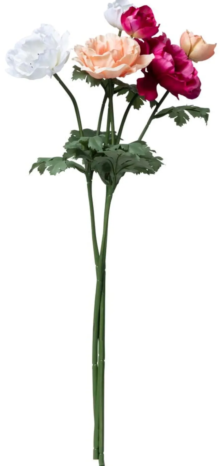 Kruunuvuokko