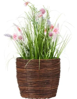 Kukkaruukkusetti Willow