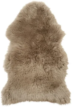 Lampaantalja