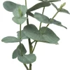 Oksa Eukalyptus