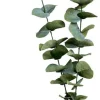 Oksa Eukalyptus