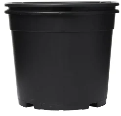 Perunaruukku