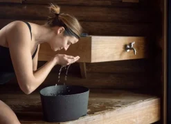 Pesuvati Rento Pisara