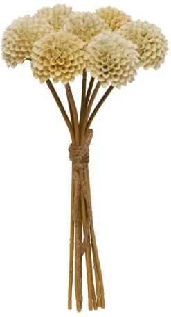 Pieni kimppu Dahlia Pompon