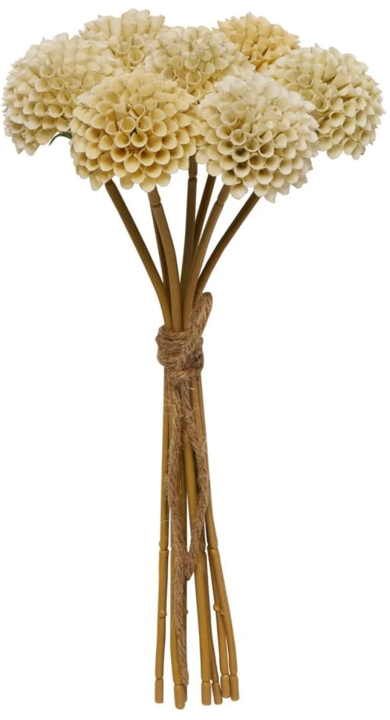 Pieni kimppu Dahlia Pompon