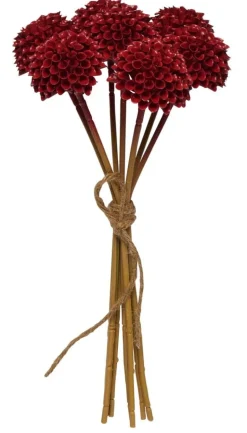 Pieni kimppu Dahlia Pompon