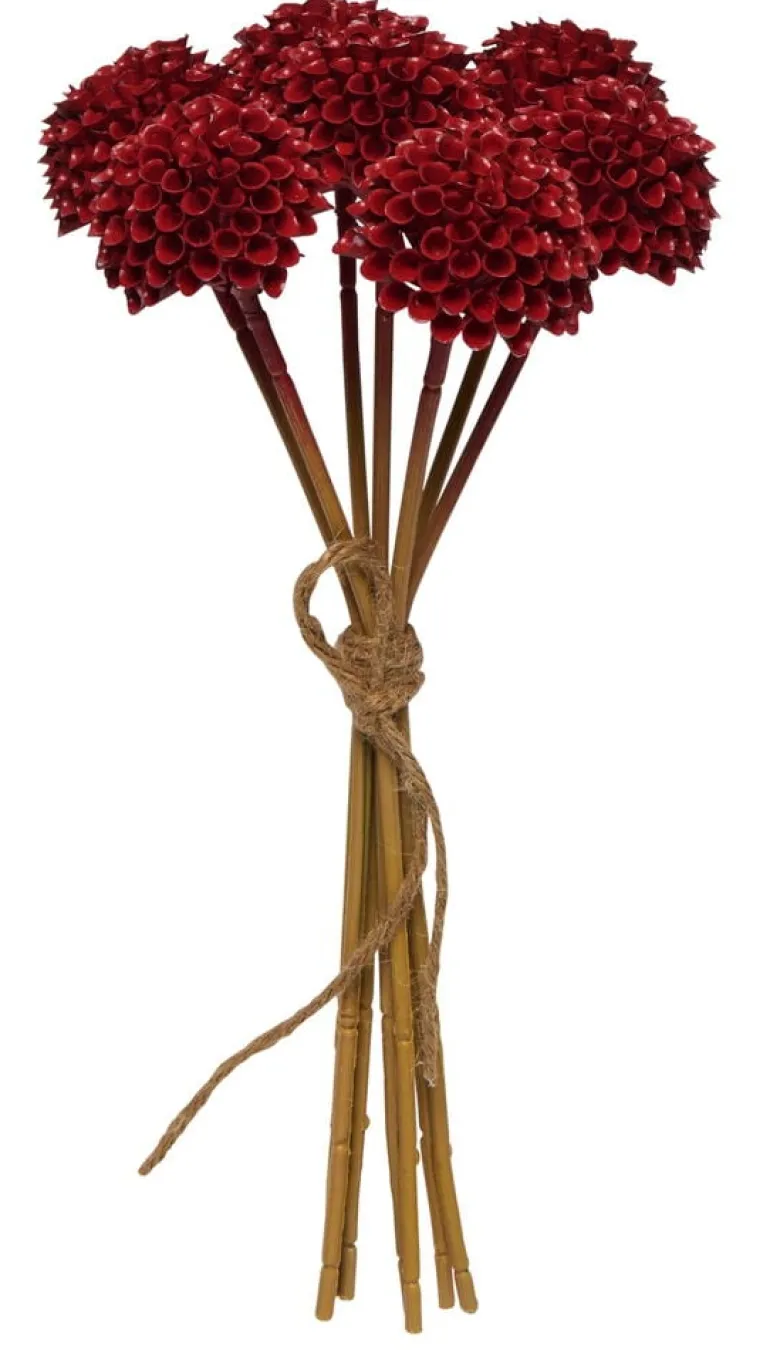 Pieni kimppu Dahlia Pompon