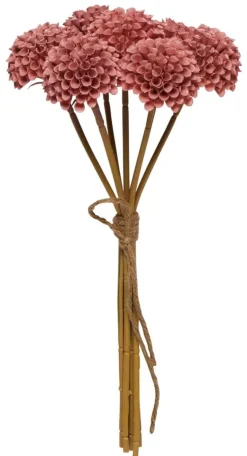 Pieni kimppu Dahlia Pompon