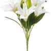 Pieni kimppu Lily