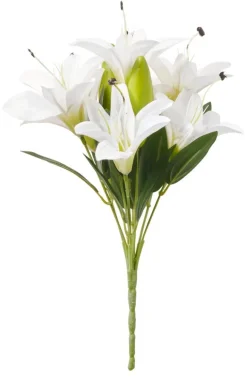 Pieni kimppu Lily