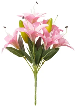 Pieni kimppu Lily