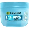 Päivävoide Garnier