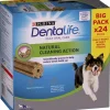Purutikut Purina Dentalife