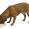 Ruokakulho