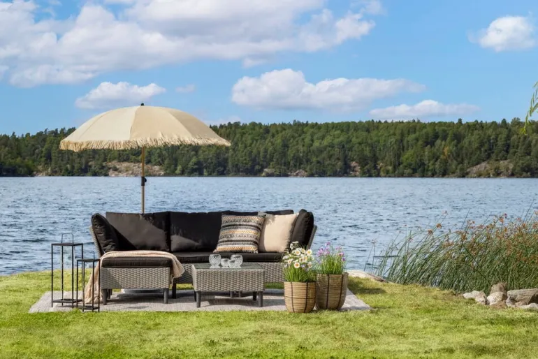 Ruukkukasvi Heinä ja Päivänkakkara