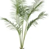 Ruukkukasvi Palmu