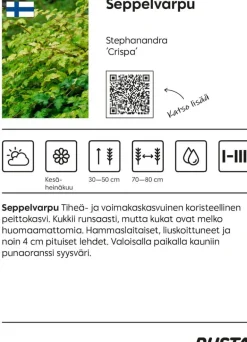 Seppelvarpu