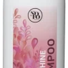 Shampoo NoFo