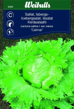 Siemenpussi Weibulls
