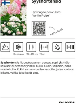 Syyshortensia Vanilla Fraise