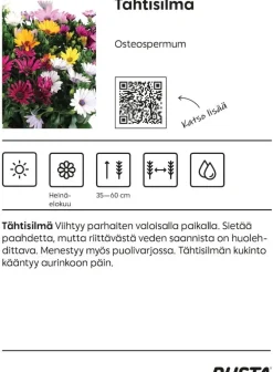 Tähtisilmä