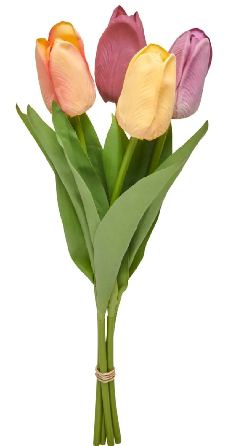 Tulppaani