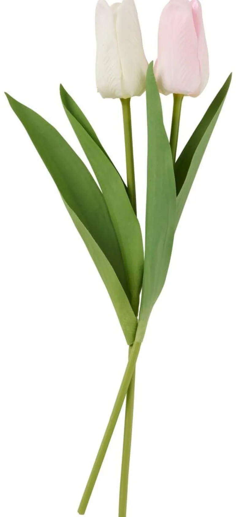 Tulppaani
