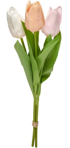 Tulppaani