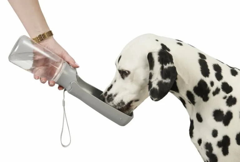 Vesipullo lemmikille Pet Club