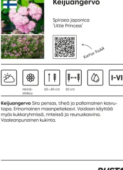 Keijuangervo