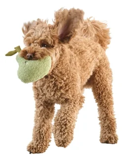 Koiran lelu Bouclé Pet Club